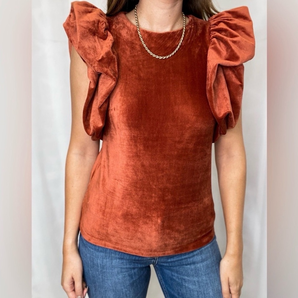 THML Rust Velvet Ruffle Sleeve Top - Picture 1 of 6
